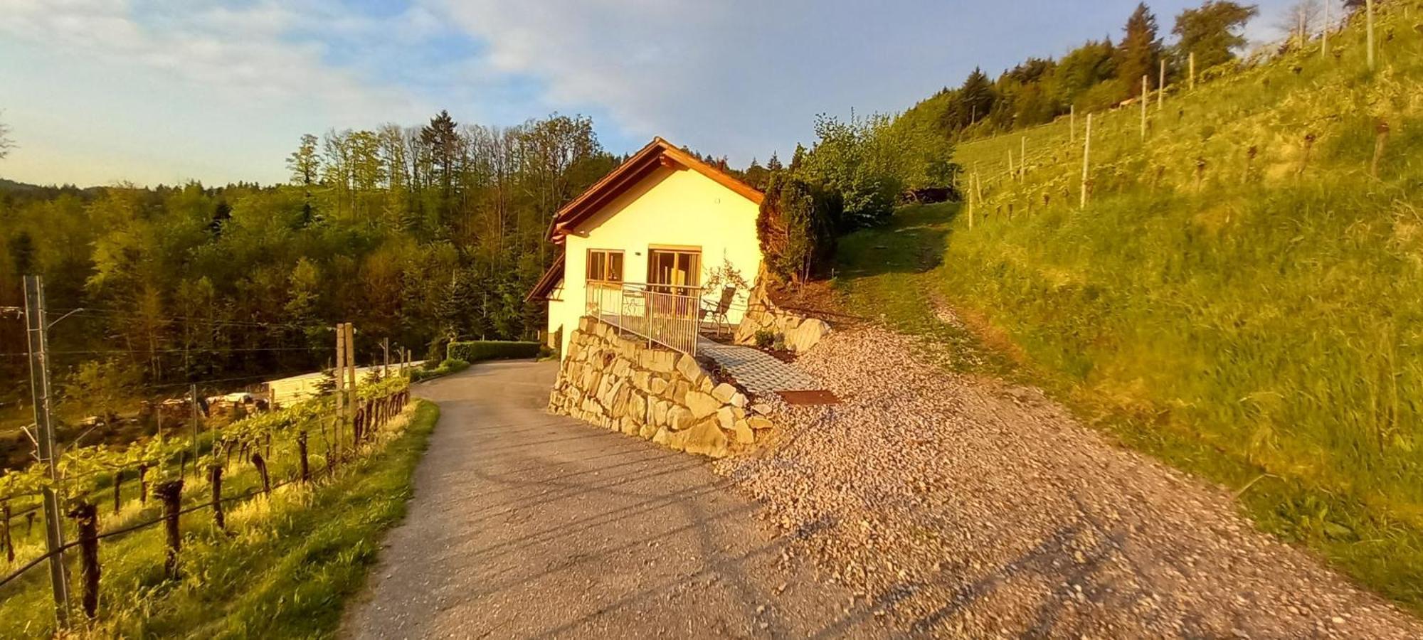 Schwarzwaldglueck Lägenhet Oberkirch  Exteriör bild